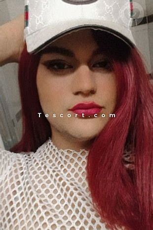 escort trans rennes|Rennes Shemale Escort in France .